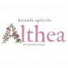 Althea di Grazia Castiello
